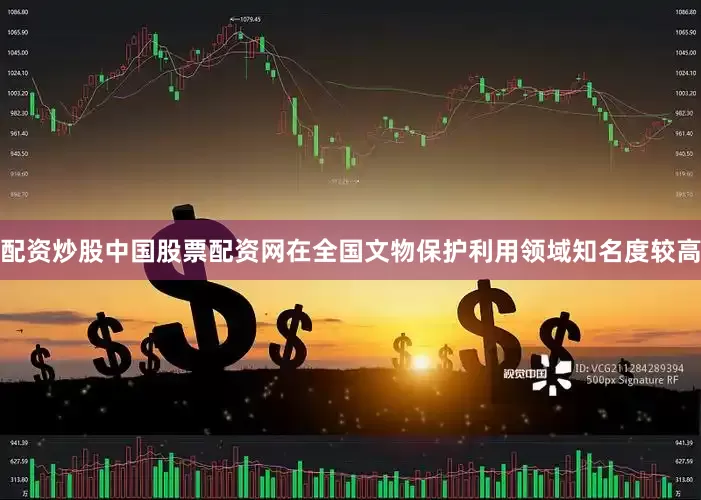 配资炒股中国股票配资网在全国文物保护利用领域知名度较高