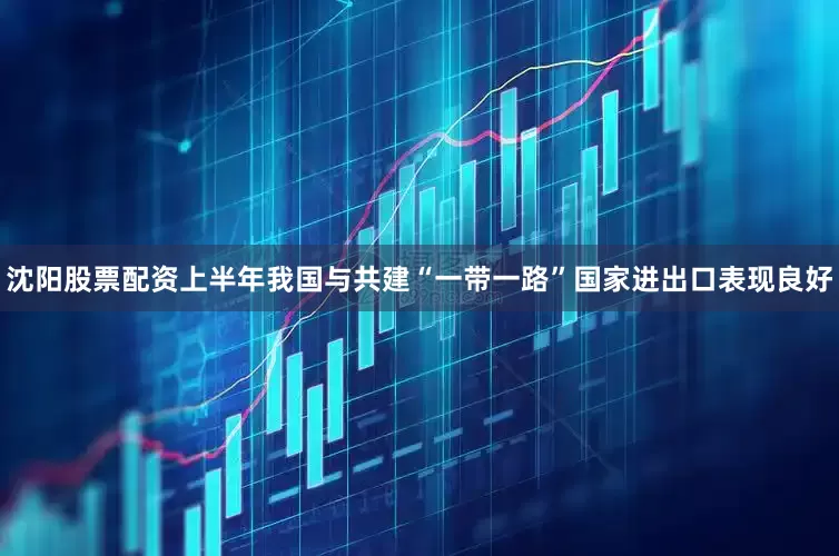 沈阳股票配资上半年我国与共建“一带一路”国家进出口表现良好
