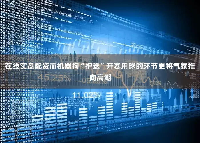 在线实盘配资而机器狗“护送”开赛用球的环节更将气氛推向高潮
