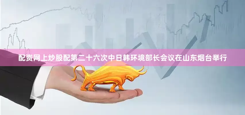配资网上炒股配第二十六次中日韩环境部长会议在山东烟台举行