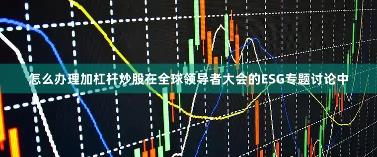 怎么办理加杠杆炒股　　在全球领导者大会的ESG专题讨论中