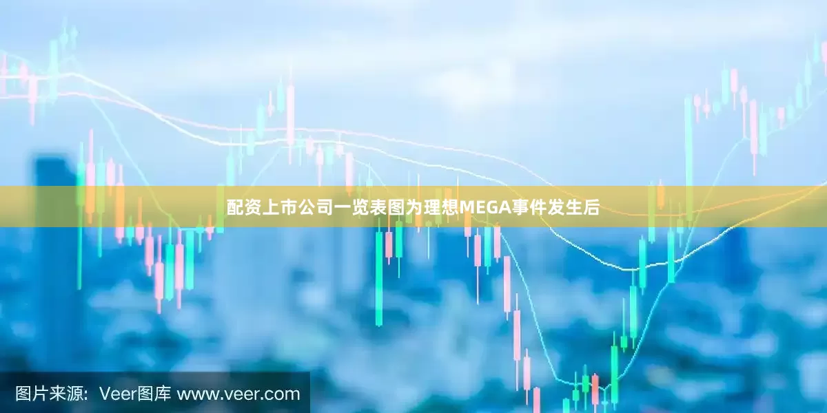 配资上市公司一览表图为理想MEGA事件发生后