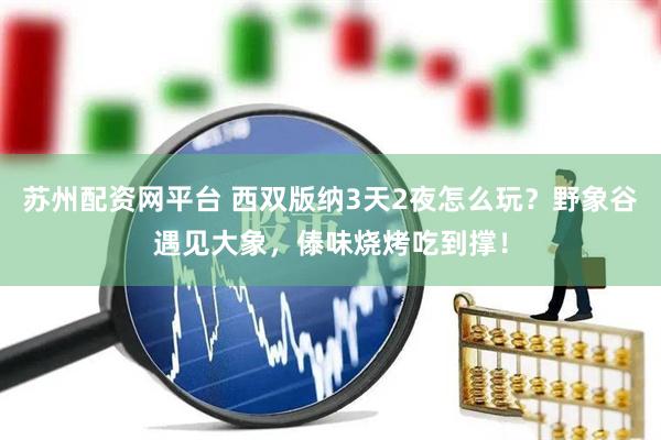苏州配资网平台 西双版纳3天2夜怎么玩？野象谷遇见大象，傣味烧烤吃到撑！