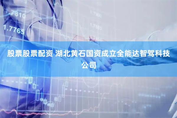 股票股票配资 湖北黄石国资成立全能达智驾科技公司