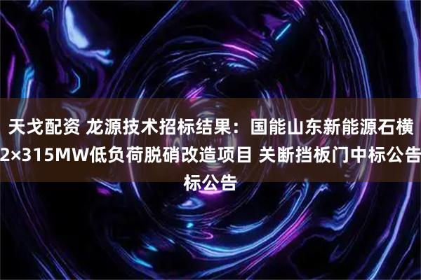 天戈配资 龙源技术招标结果：国能山东新能源石横2×315MW低负荷脱硝改造项目 关断挡板门中标公告